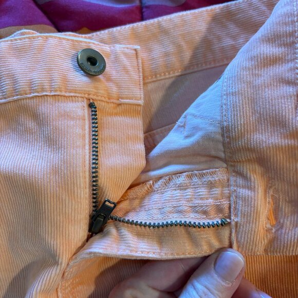 Carve Designs Orange Women's Shorts - Picture 7 of 8